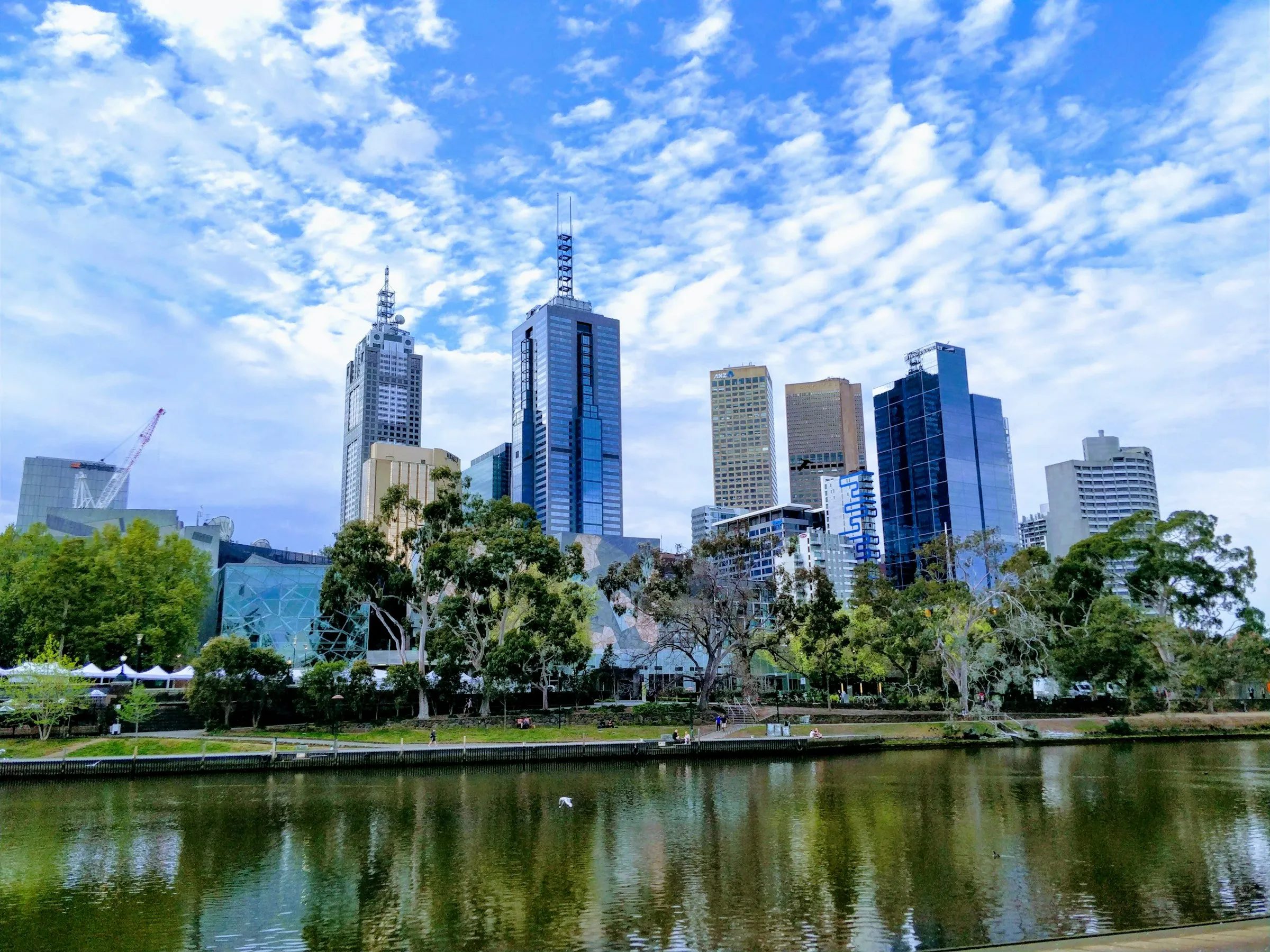Melbourne's city skyline above the Yarra River and parkland on a bright, sunny day